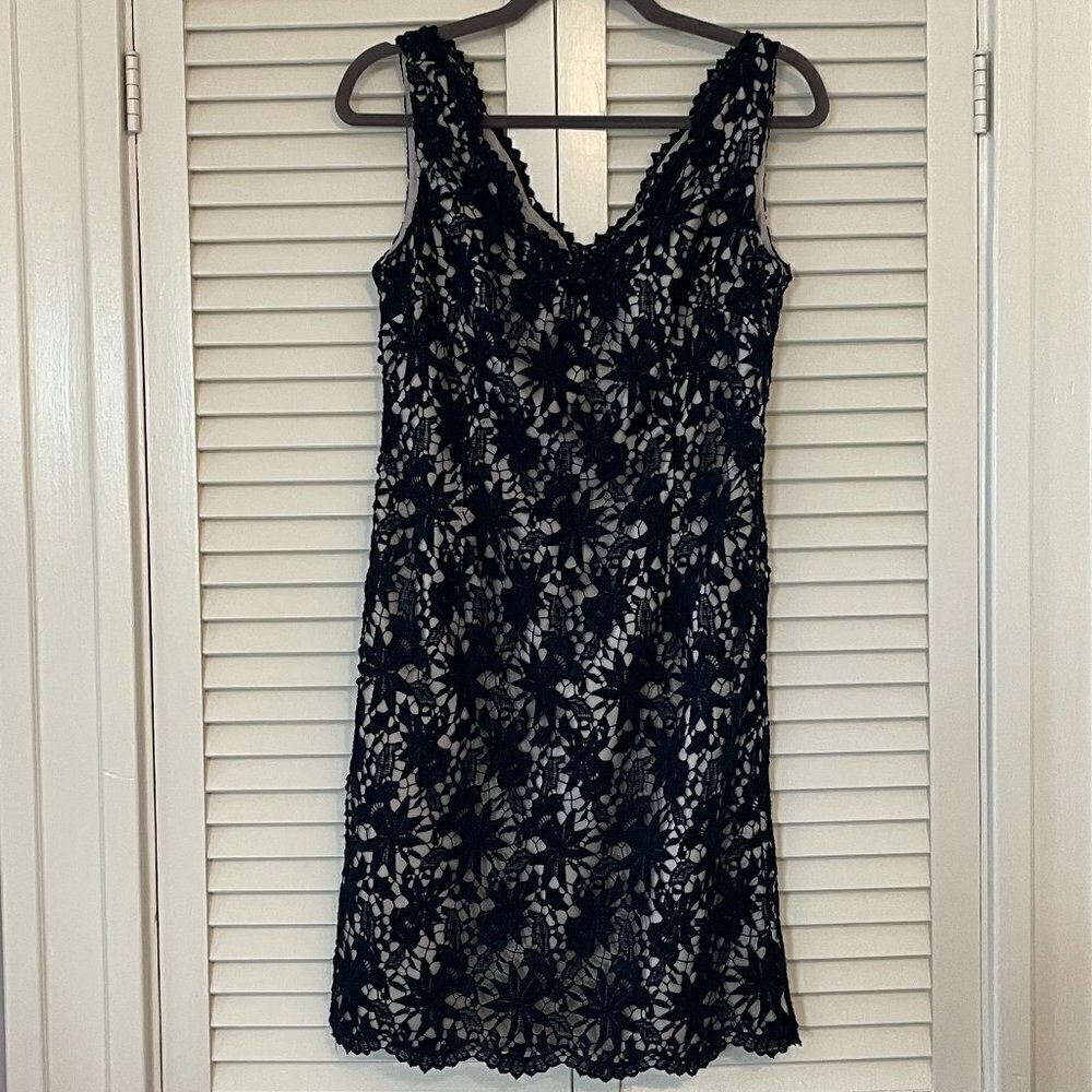 Ann Taylor Factory lace dress navy 2 sleeveless